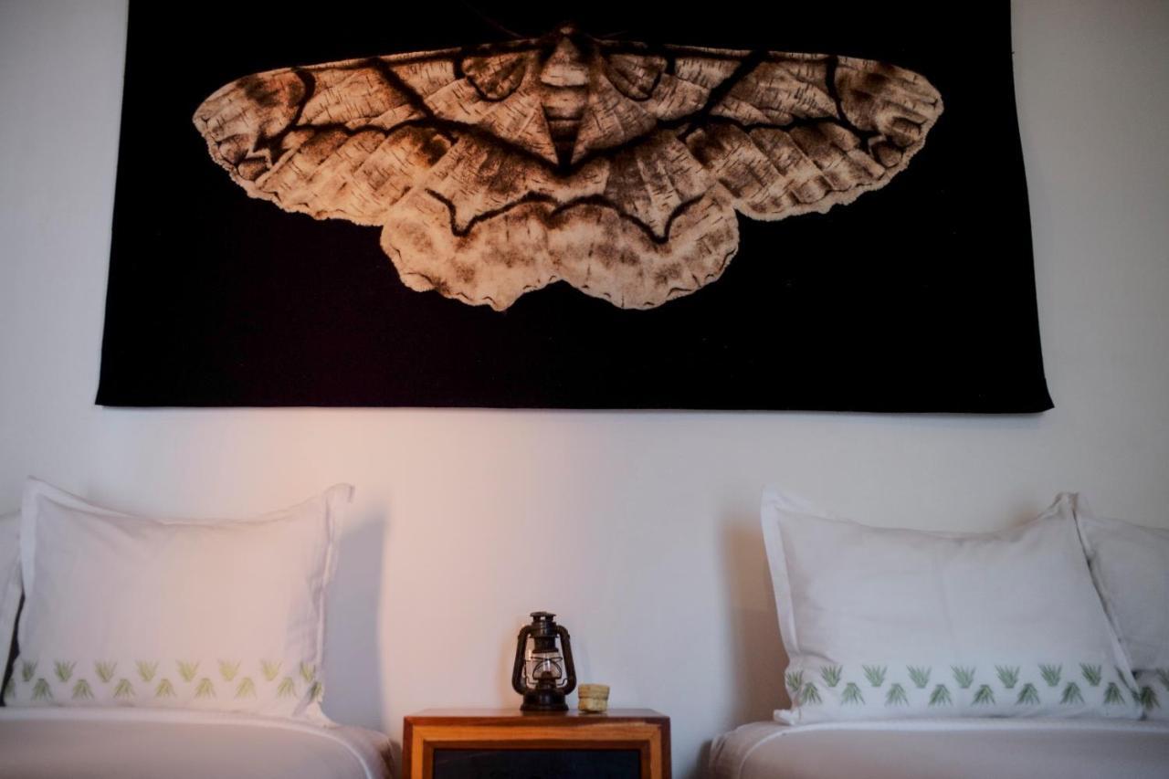 Hotel Los Amantes Oaxaca المظهر الخارجي الصورة